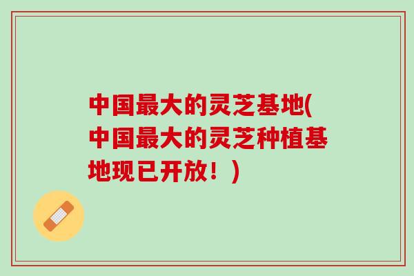 中国大的灵芝基地(中国大的灵芝种植基地现已开放!) 中国大的灵芝基地(中国大的灵芝种植基地现已开放!)