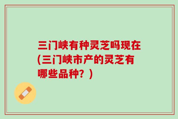 三门峡有种灵芝吗现在(三门峡市产的灵芝有哪些品种？)