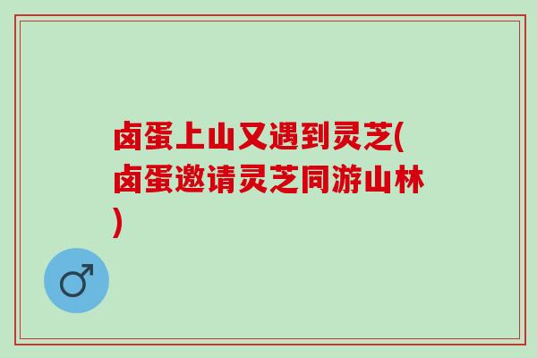 卤蛋上山又遇到灵芝(卤蛋邀请灵芝同游山林)