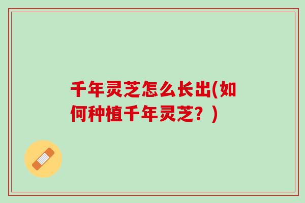 千年灵芝怎么长出(如何种植千年灵芝？)