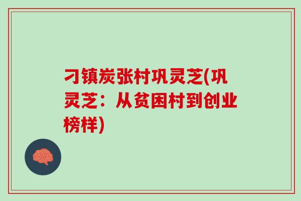 刁镇炭张村巩灵芝(巩灵芝：从贫困村到创业榜样)