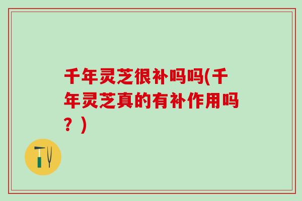 千年灵芝很补吗吗(千年灵芝真的有补作用吗？)