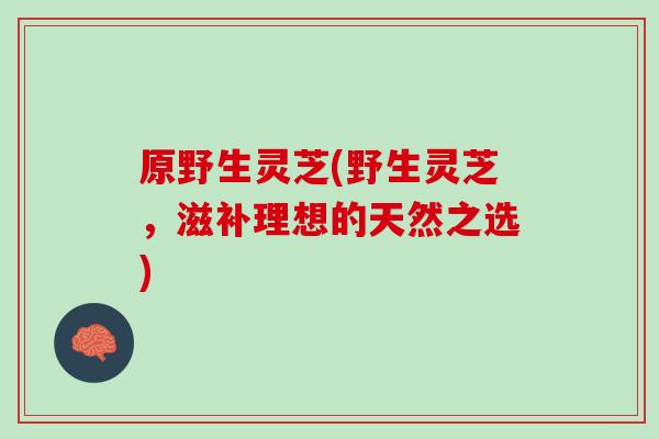 原野生灵芝(野生灵芝，滋补理想的天然之选)