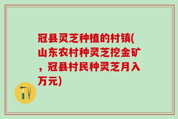 冠县灵芝种植的村镇(山东农村种灵芝挖金矿，冠县村民种灵芝月入万元)