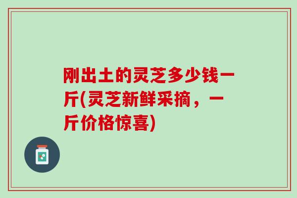 刚出土的灵芝多少钱一斤(灵芝新鲜采摘,一斤价格惊喜) 刚出土的灵芝多少钱一斤(灵芝新鲜采摘,一斤价格惊喜)