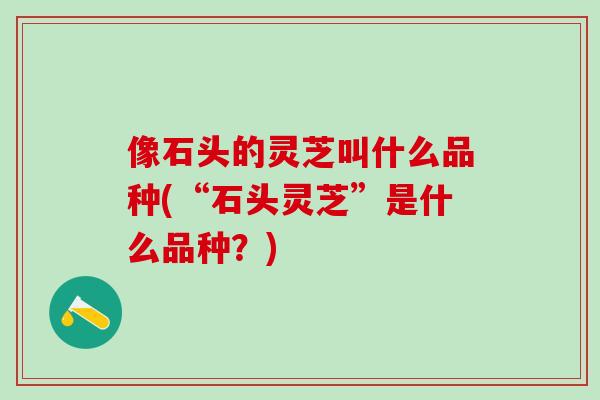 像石头的灵芝叫什么品种(“石头灵芝”是什么品种?) 像石头的灵芝叫什么品种(“石头灵芝”是什么品种?)