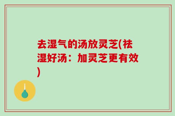 去湿气的汤放灵芝(祛湿好汤：加灵芝更有效)