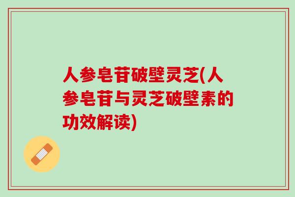 人参皂苷破壁灵芝(人参皂苷与灵芝破壁素的功效解读)