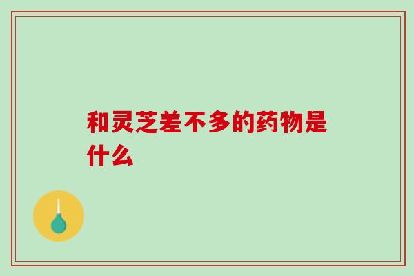 和灵芝差不多的药物是什么