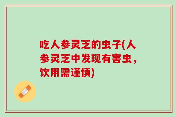 吃人参灵芝的虫子(人参灵芝中发现有害虫，饮用需谨慎)
