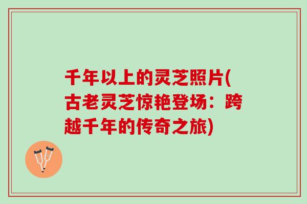 千年以上的灵芝照片(古老灵芝惊艳登场：跨越千年的传奇之旅)