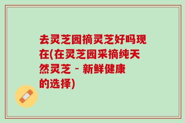 去灵芝园摘灵芝好吗现在(在灵芝园采摘纯天然灵芝 - 新鲜健康的选择)