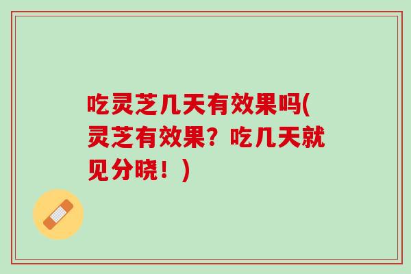 吃灵芝几天有效果吗(灵芝有效果？吃几天就见分晓！)