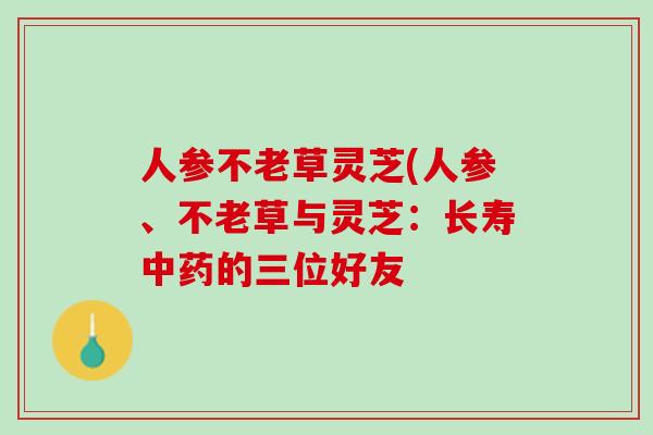 人参不老草灵芝(人参、不老草与灵芝：长寿中药的三位好友