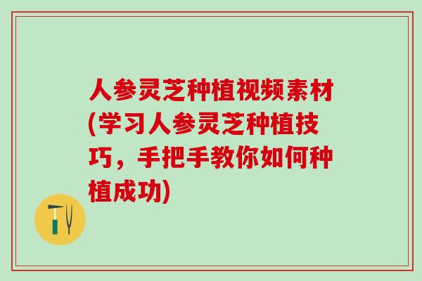 人参灵芝种植视频素材(学习人参灵芝种植技巧，手把手教你如何种植成功)
