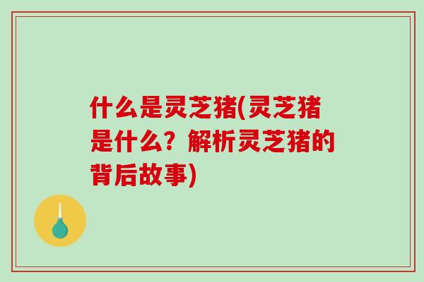 什么是灵芝猪(灵芝猪是什么？解析灵芝猪的背后故事)