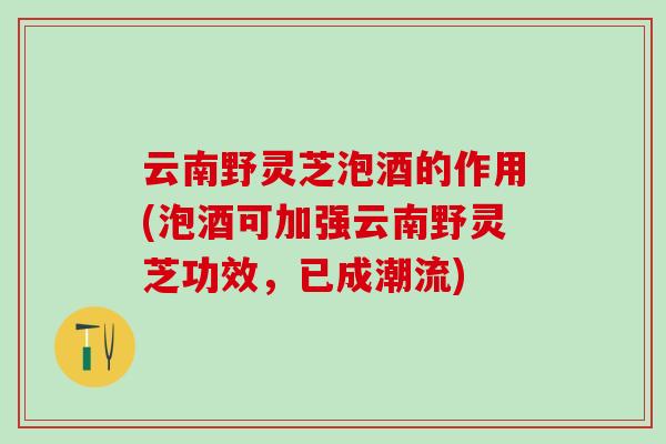 云南野灵芝泡酒的作用(泡酒可加强云南野灵芝功效，已成潮流)