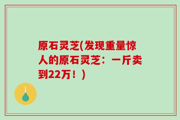 原石灵芝(发现重量惊人的原石灵芝:一斤卖到22万!) 原石灵芝(发现重量惊人的原石灵芝:一斤卖到22万!)