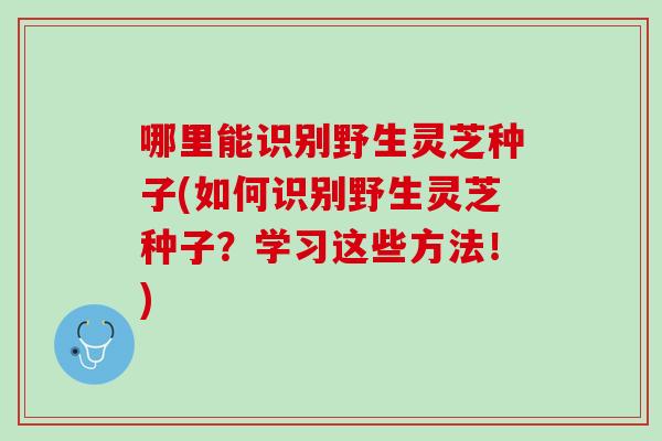 哪里能识别野生灵芝种子(如何识别野生灵芝种子？学习这些方法！)