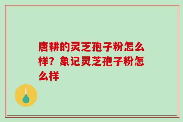 唐耕的灵芝孢子粉怎么样？象记灵芝孢子粉怎么样