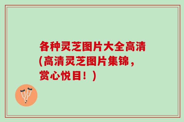 各种灵芝图片大全高清(高清灵芝图片集锦，赏心悦目！)