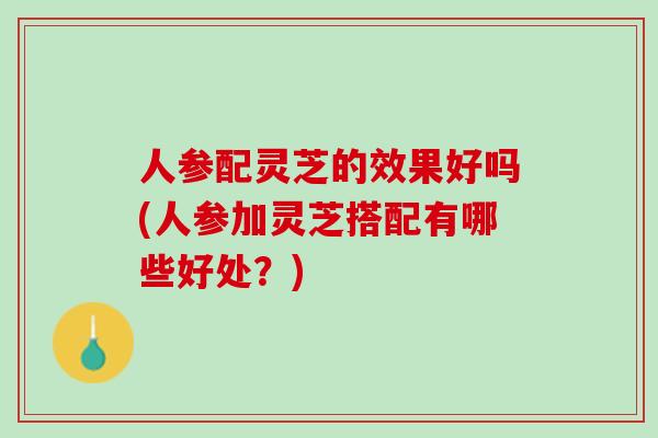 人参配灵芝的效果好吗(人参加灵芝搭配有哪些好处？)