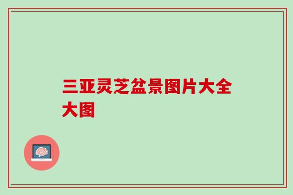 三亚灵芝盆景图片大全大图
