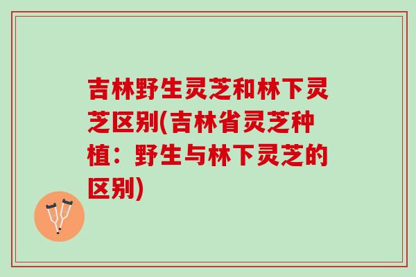 吉林野生灵芝和林下灵芝区别(吉林省灵芝种植：野生与林下灵芝的区别)