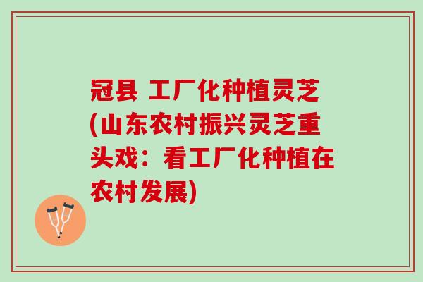 冠县 工厂化种植灵芝(山东农村振兴灵芝重头戏:看工厂化种植在农村发展) 冠县 工厂化种植灵芝(山东农村振兴灵芝重头戏:看工厂化种植在农村发展)