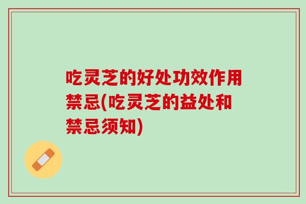 吃灵芝的好处功效作用禁忌(吃灵芝的益处和禁忌须知)