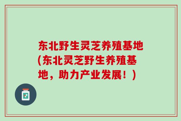 东北野生灵芝养殖基地(东北灵芝野生养殖基地,助力产业发展!) 东北野生灵芝养殖基地(东北灵芝野生养殖基地,助力产业发展!)