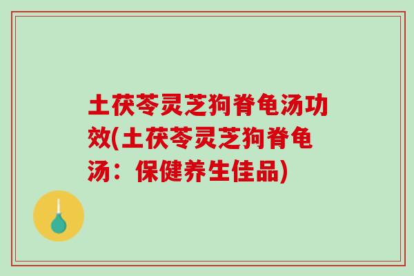 土茯苓灵芝狗脊龟汤功效(土茯苓灵芝狗脊龟汤：保健养生佳品)