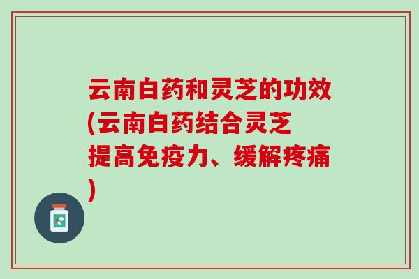 云南白药和灵芝的功效(云南白药结合灵芝 提高免疫力、缓解)
