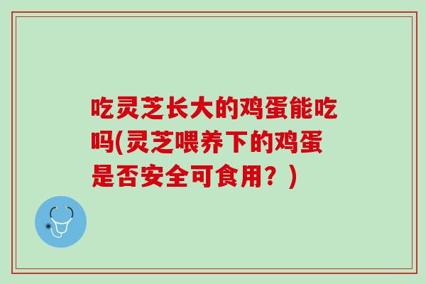 吃灵芝长大的鸡蛋能吃吗(灵芝喂养下的鸡蛋是否安全可食用？)