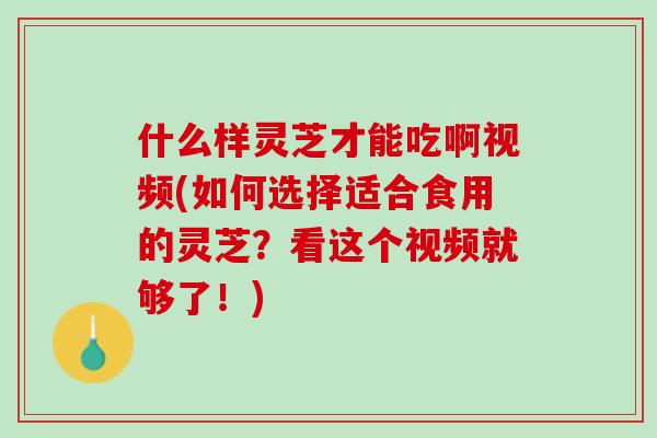 什么样灵芝才能吃啊视频(如何选择适合食用的灵芝?看这个视频就够了!) 什么样灵芝才能吃啊视频(如何选择适合食用的灵芝?看这个视频就够了!)