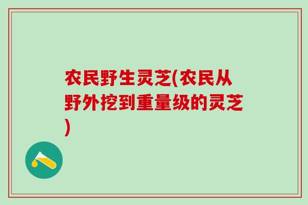 农民野生灵芝(农民从野外挖到重量级的灵芝)