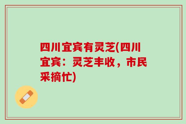 四川宜宾有灵芝(四川宜宾：灵芝丰收，市民采摘忙)
