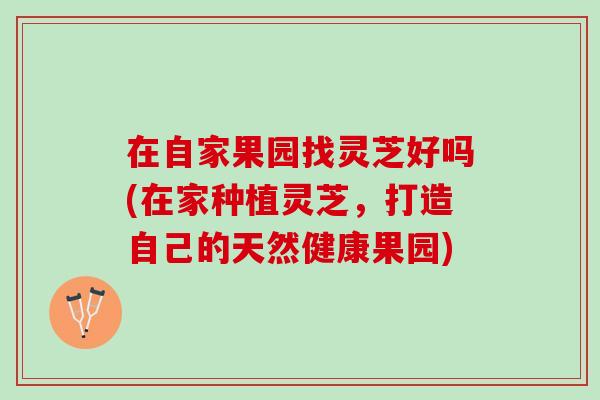 在自家果园找灵芝好吗(在家种植灵芝，打造自己的天然健康果园)