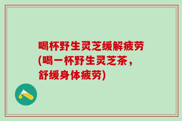 喝杯野生灵芝缓解疲劳(喝一杯野生灵芝茶，舒缓身体疲劳)