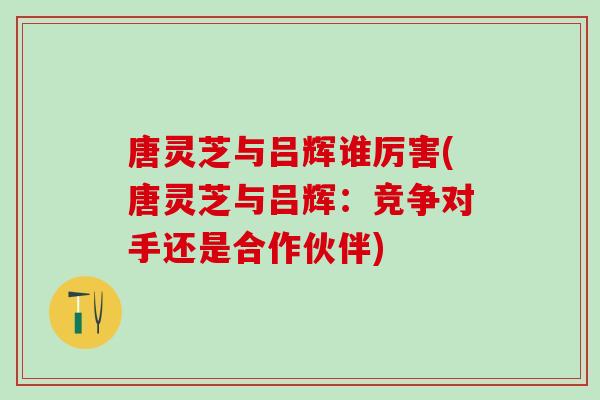 唐灵芝与吕辉谁厉害(唐灵芝与吕辉：竞争对手还是合作伙伴)