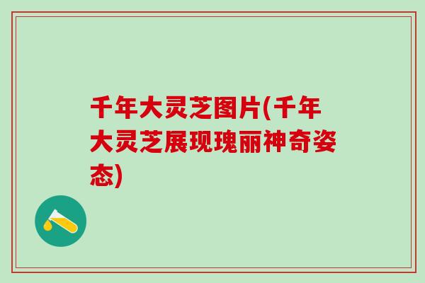 千年大灵芝图片(千年大灵芝展现瑰丽神奇姿态)