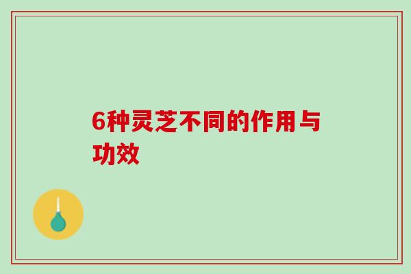 6种灵芝不同的作用与功效