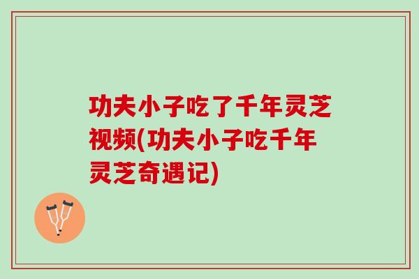 功夫小子吃了千年灵芝视频(功夫小子吃千年灵芝奇遇记)