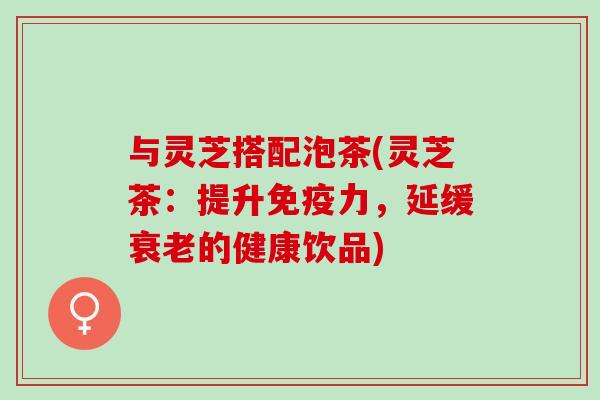与灵芝搭配泡茶(灵芝茶：提升免疫力，延缓衰老的健康饮品)