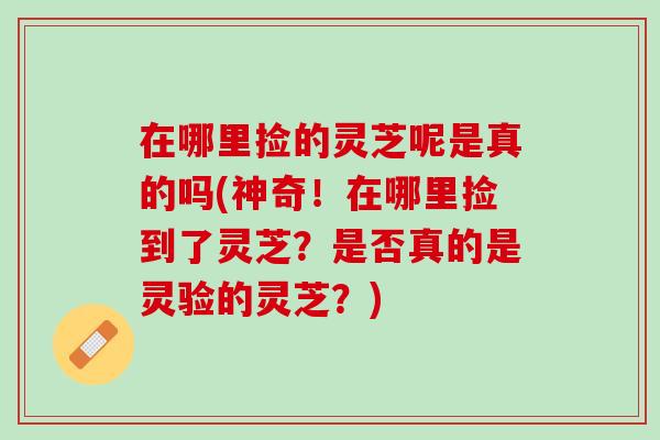 在哪里捡的灵芝呢是真的吗(神奇！在哪里捡到了灵芝？是否真的是灵验的灵芝？)