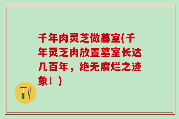 千年肉灵芝做墓室(千年灵芝肉放置墓室长达几百年，绝无腐烂之迹象！)