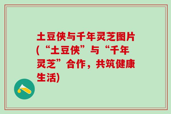 土豆侠与千年灵芝图片(“土豆侠”与“千年灵芝”合作，共筑健康生活)