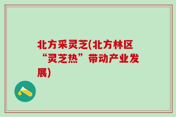 北方采灵芝(北方林区“灵芝热”带动产业发展)