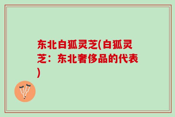 东北白狐灵芝(白狐灵芝：东北奢侈品的代表)