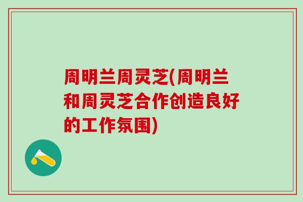 周明兰周灵芝(周明兰和周灵芝合作创造良好的工作氛围)
